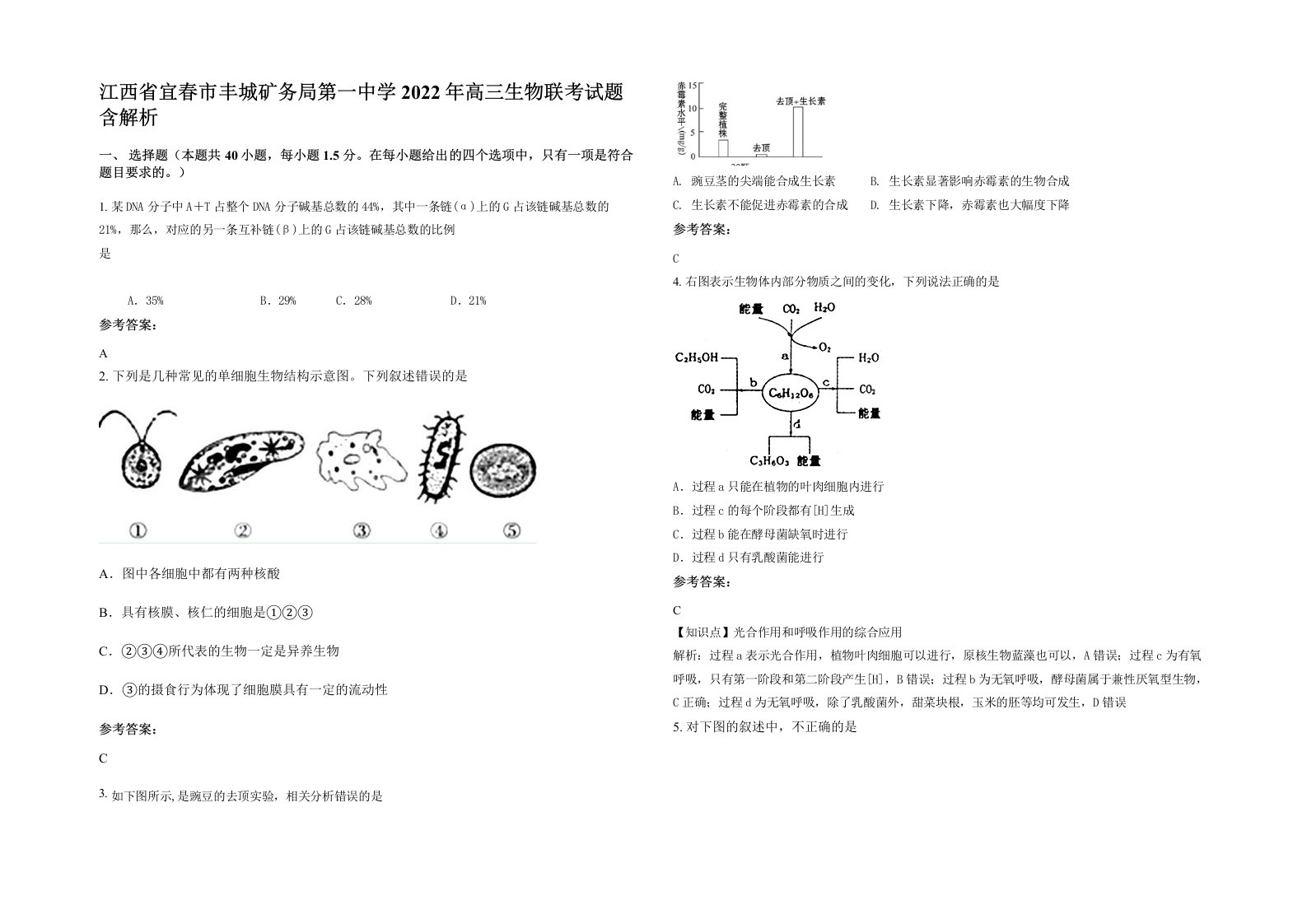 江西省宜春市丰城矿务局第一中学2022年高三生物联考试题含解析