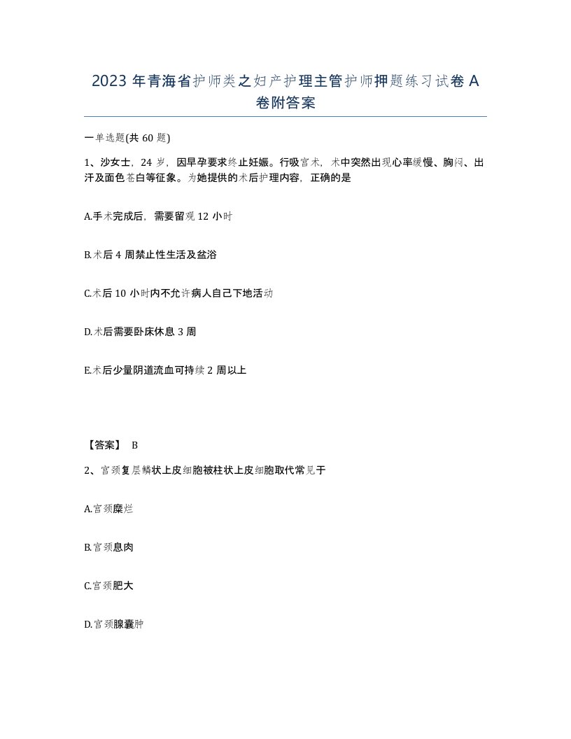 2023年青海省护师类之妇产护理主管护师押题练习试卷A卷附答案