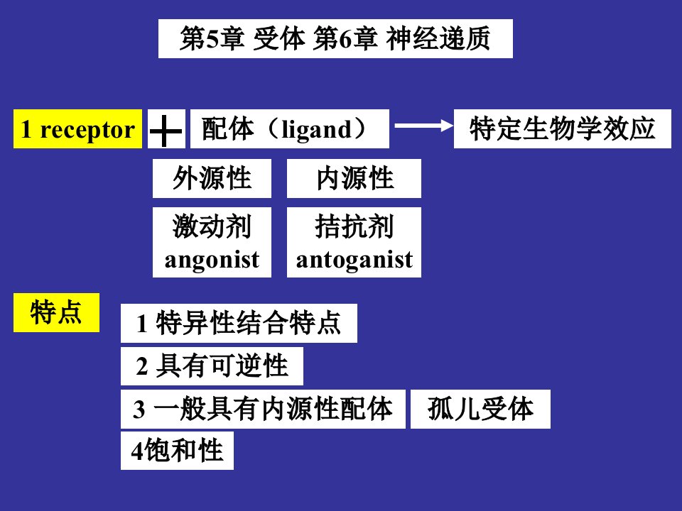 神经生物学神经递质和受体