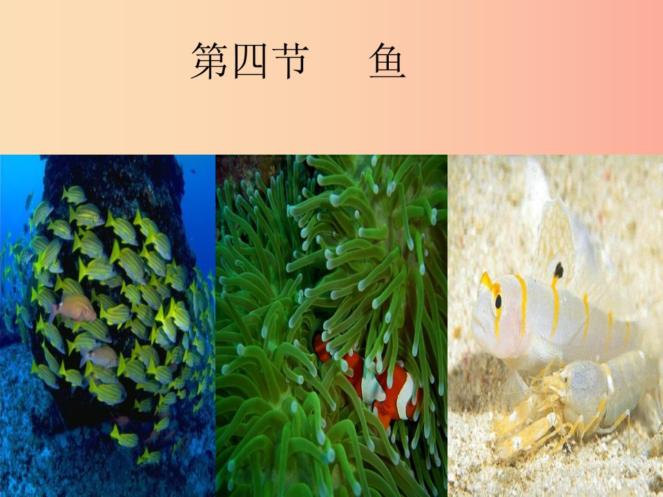 吉林省八年级生物上册