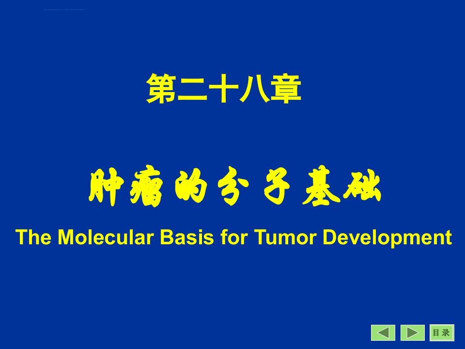 第28章肿瘤的分子基础ppt课件