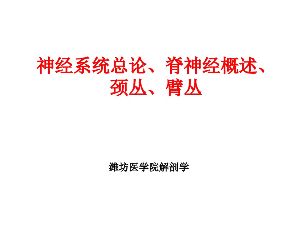 神经系统总论、脊神经、颈丛、臂丛