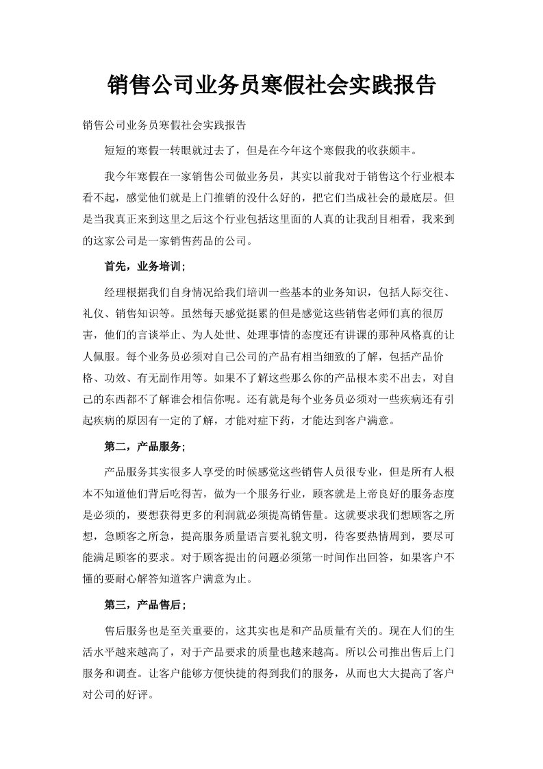 销售公司业务员寒假社会实践报告