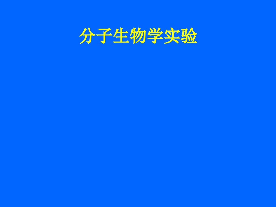 分子生物学实验课件