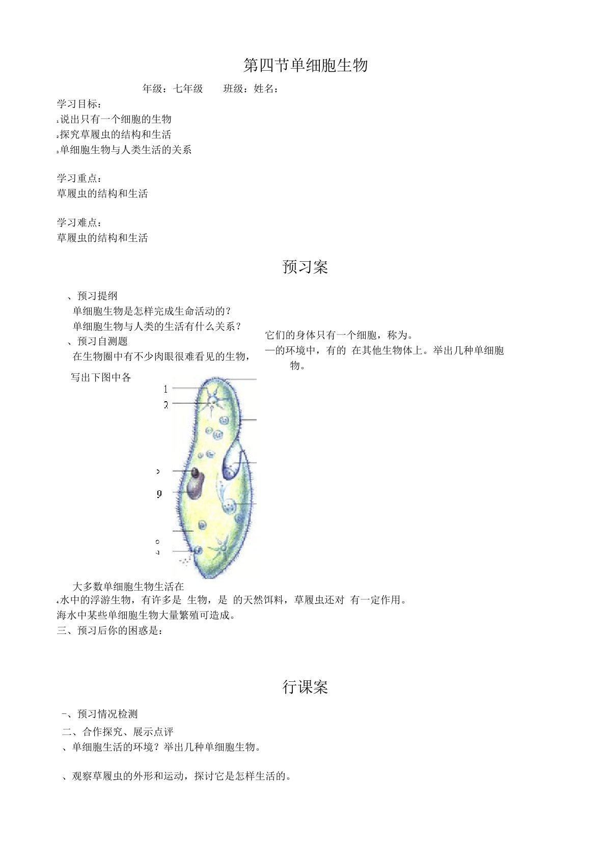 4.第四节单细胞生物导学案