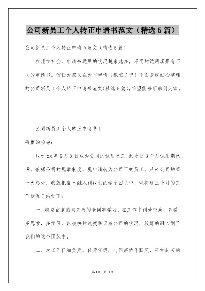 公司新员工个人转正申请书范文精选5篇