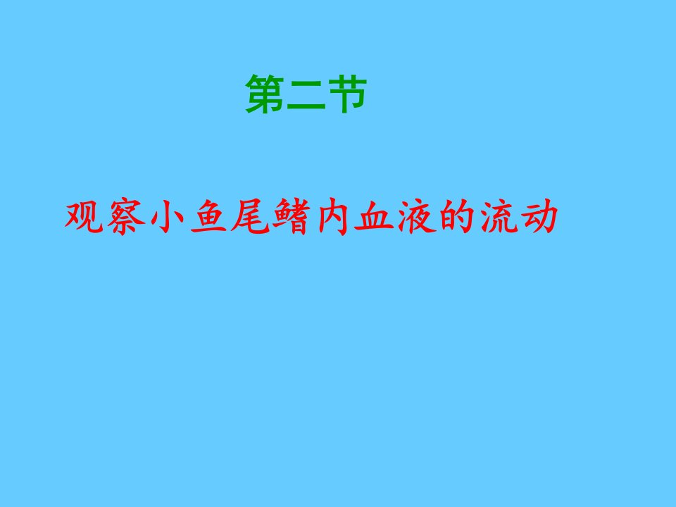 观察小鱼尾鳍内血液的流动公开课