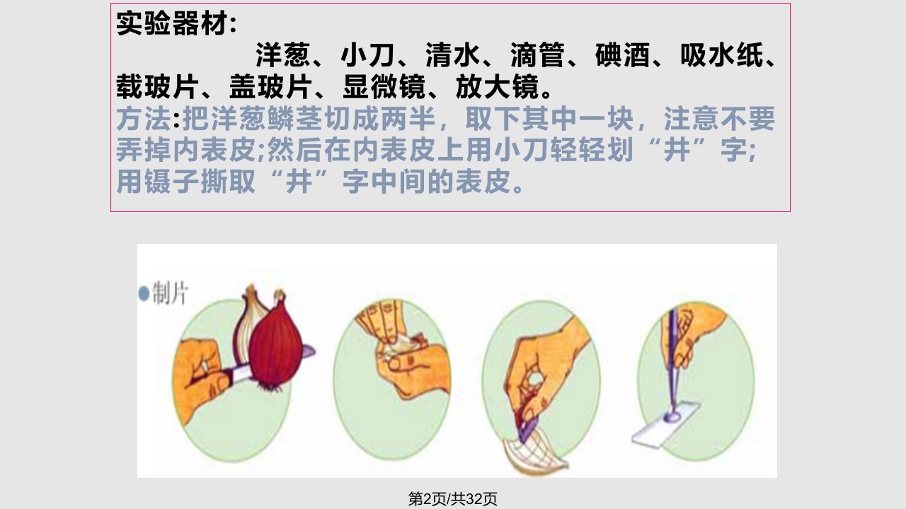 教科科学六年级下册用显微镜观察身边的生命世界