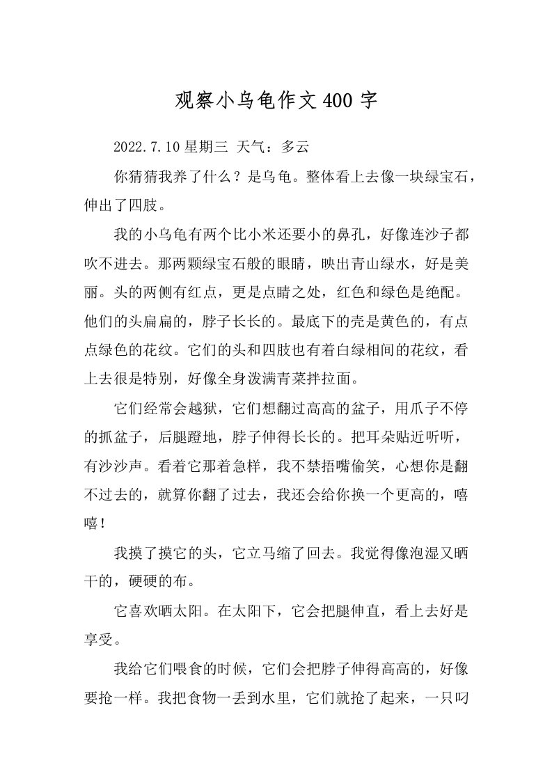 观察小乌龟作文400字