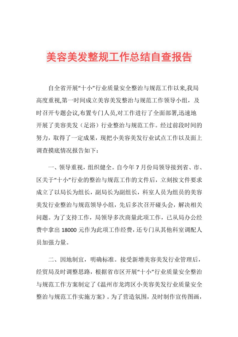 美容美发整规工作总结自查报告