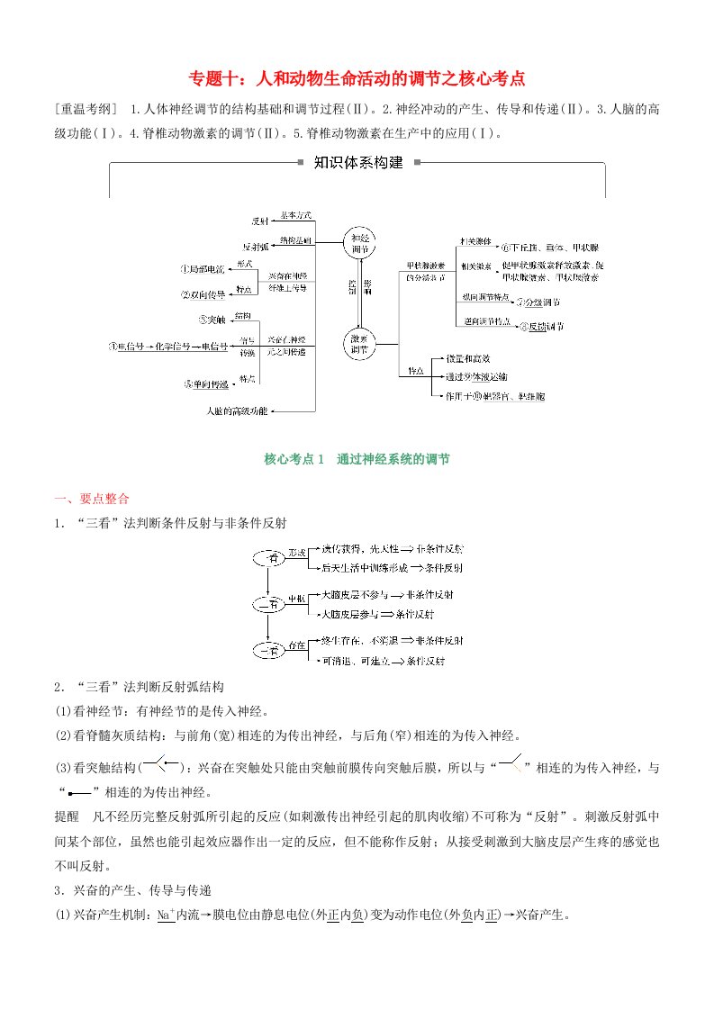 高考生物二轮复习核心考点之提分冲刺专题10人和动物生命活动的调节