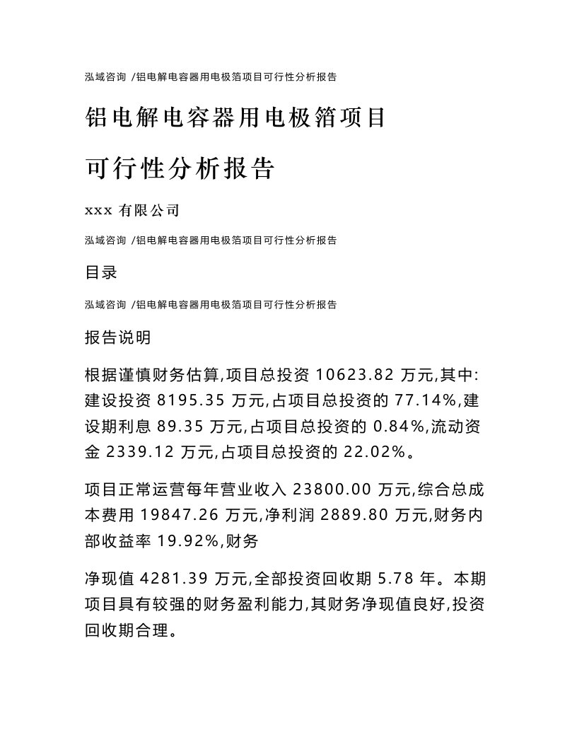 铝电解电容器用电极箔项目可行性分析报告（模板）