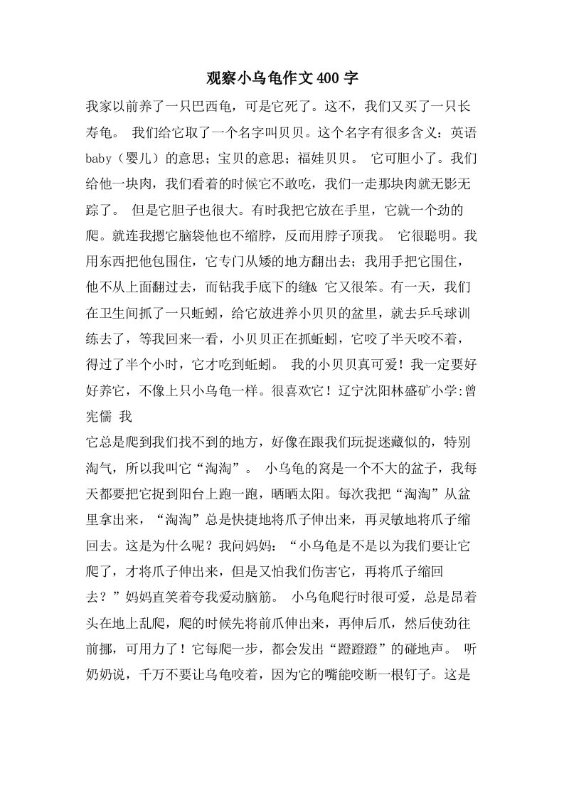 观察小乌龟作文400字