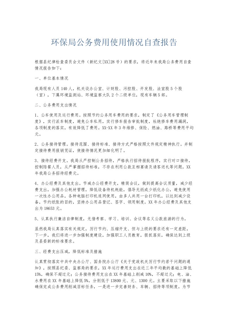 总结报告环保局公务费用使用情况自查报告