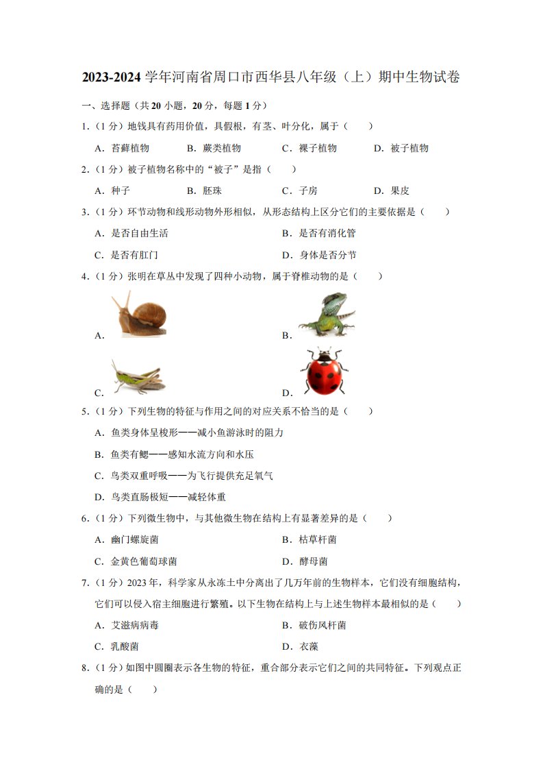 精品2024学年八年级上学期期中生物试卷(含解析)