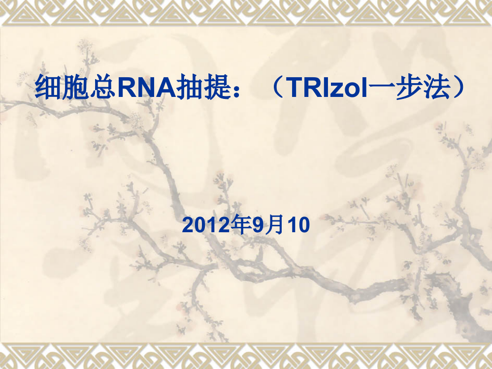 细胞总RNA抽提：(TRIzol法)