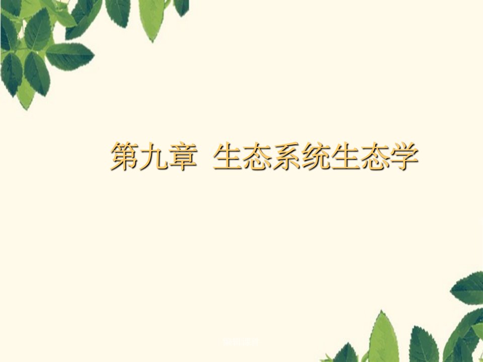 生态系统生态学(2)