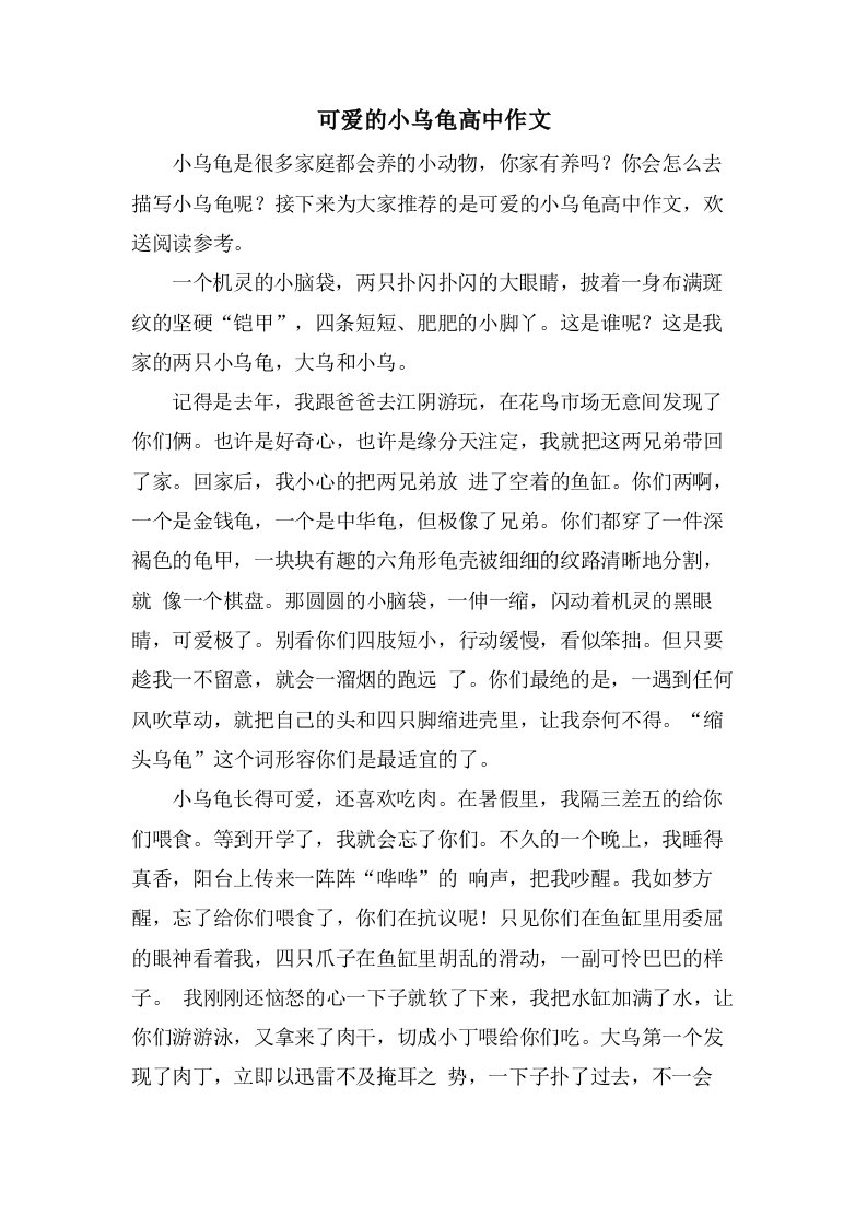 可爱的小乌龟高中作文