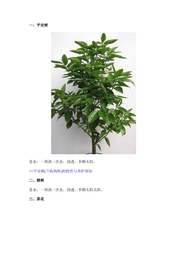 家庭养花16种常见花卉的养殖经验介绍