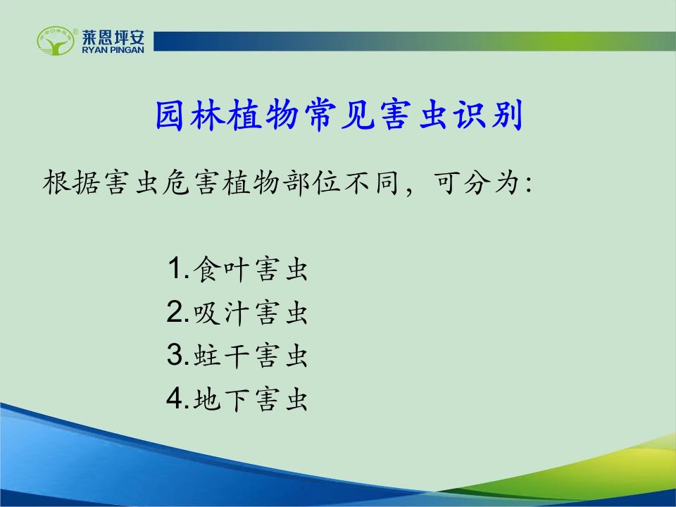 园林常见害虫识别PPT课件知识分享