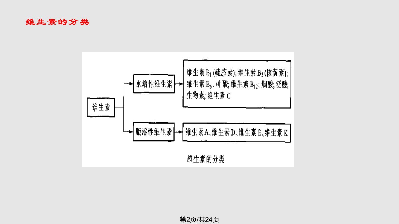 运动营养学基础运动与微量营养素