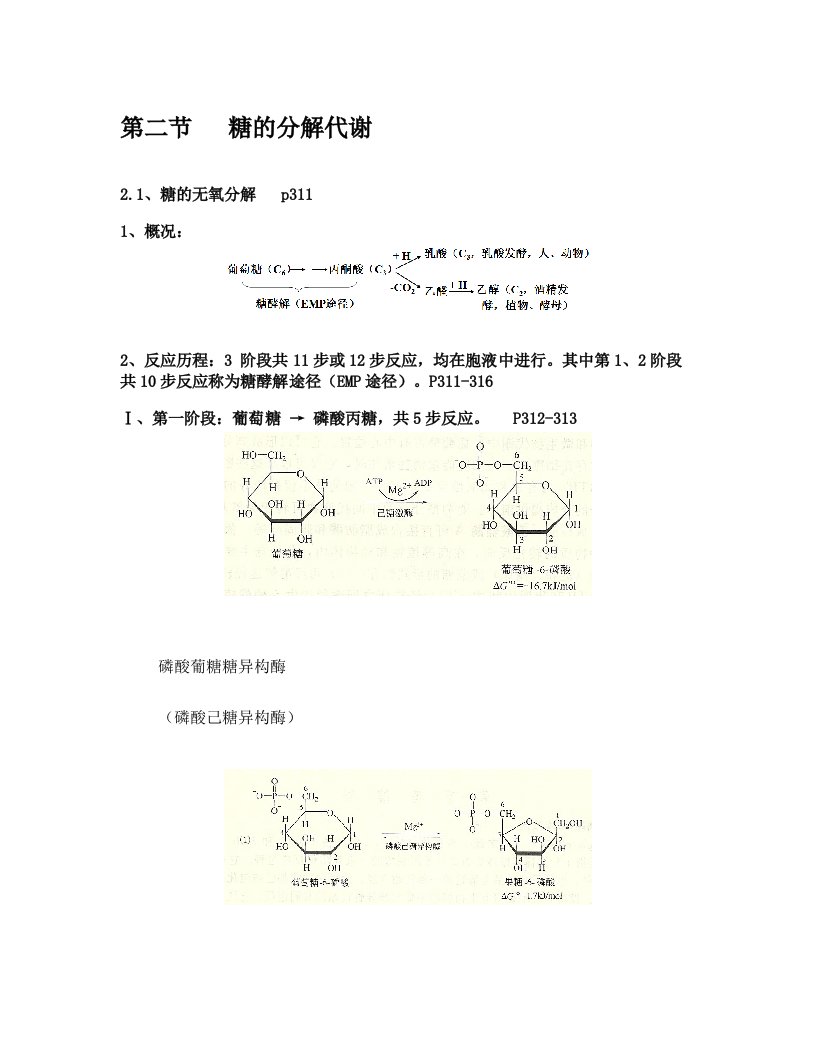 糖的分解代谢