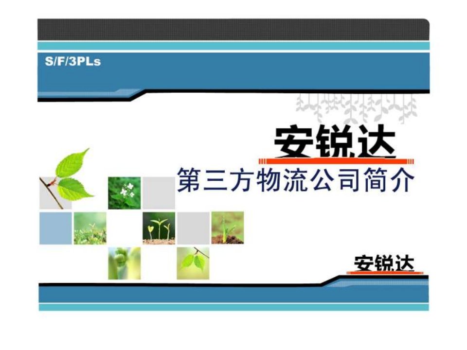 第三方物流公司.ppt