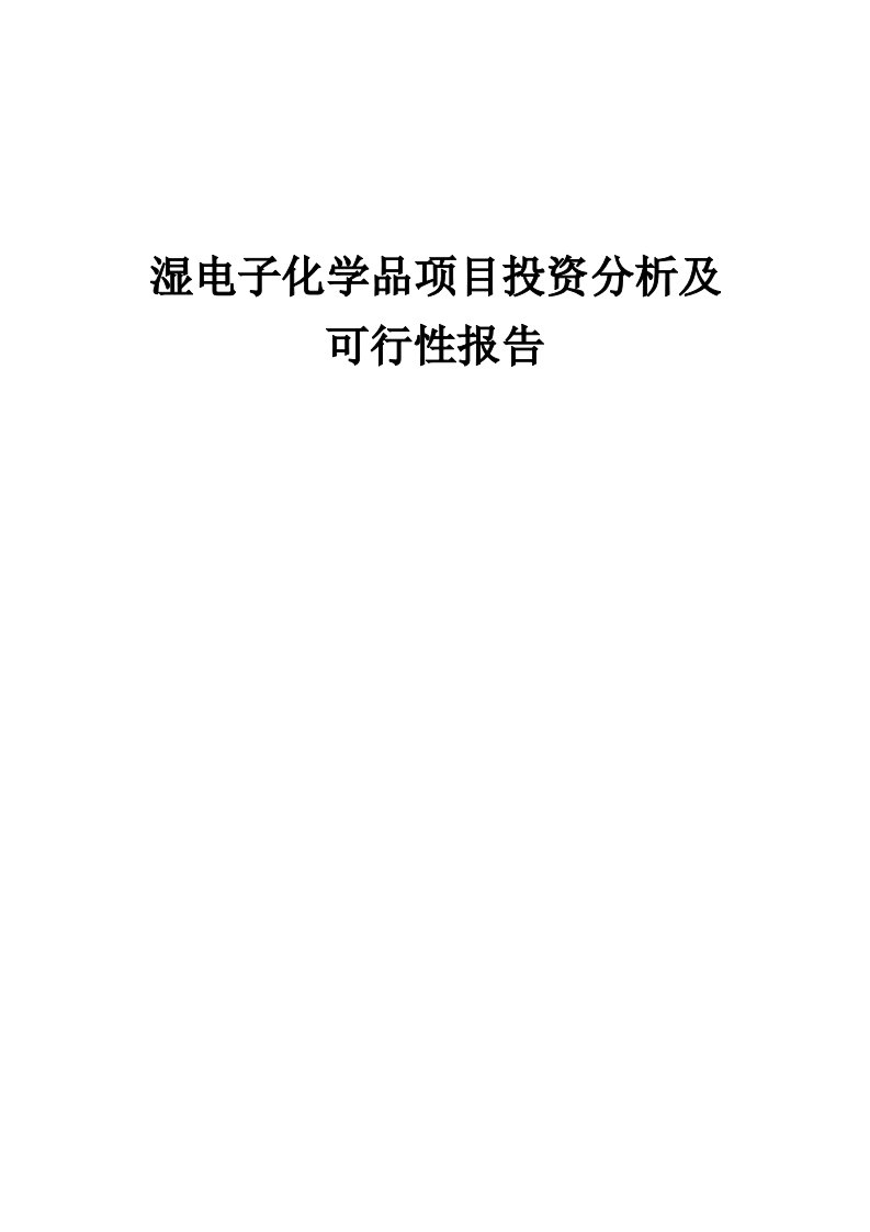 2024年湿电子化学品项目投资分析及可行性报告