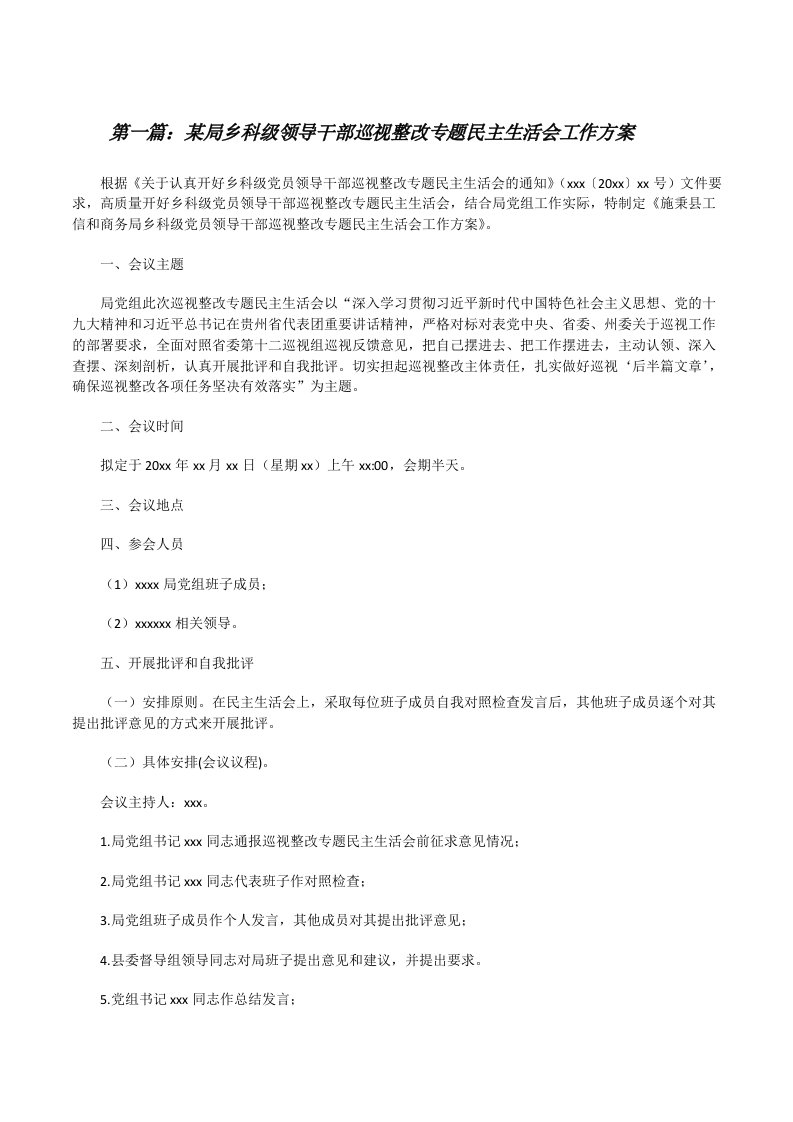 某局乡科级领导干部巡视整改专题民主生活会工作方案五篇[修改版]