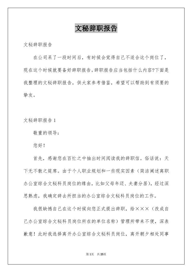 文秘辞职报告例文1