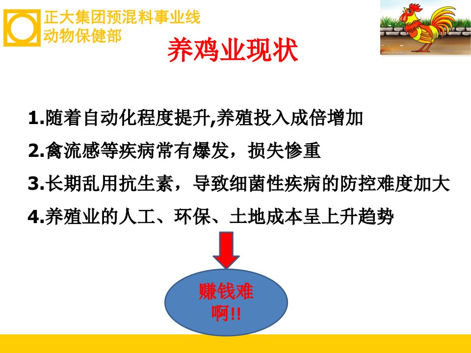 鸡场生物安全建设优质课件