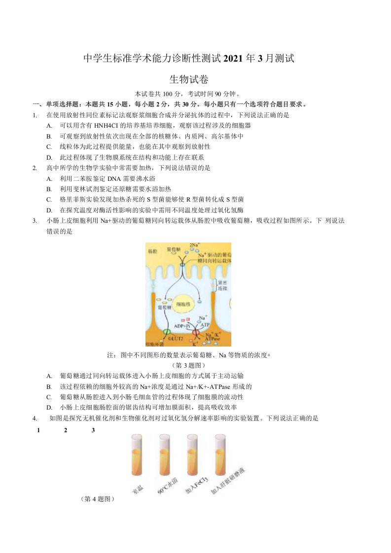 中学生标准学术能力诊断性测试2021届高三模拟考试（山东）生物试题及答案