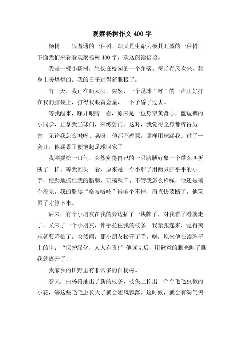 观察杨树作文400字