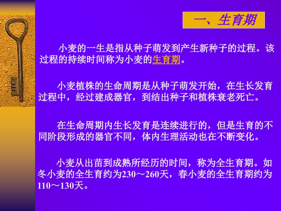 小麦的一生优秀课件