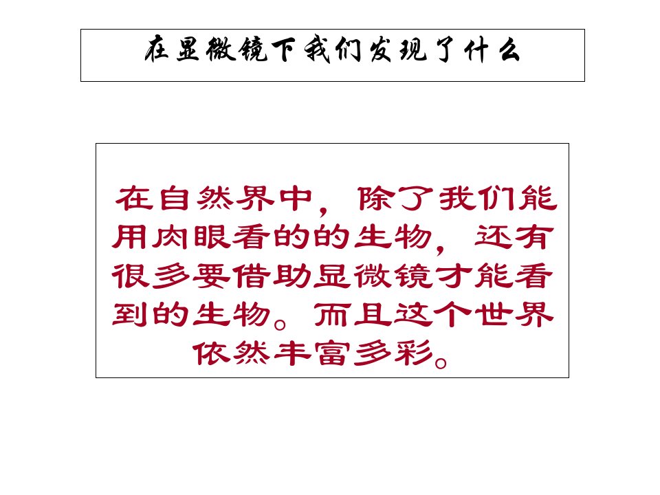 小学科学在显微镜下我们发现了什么