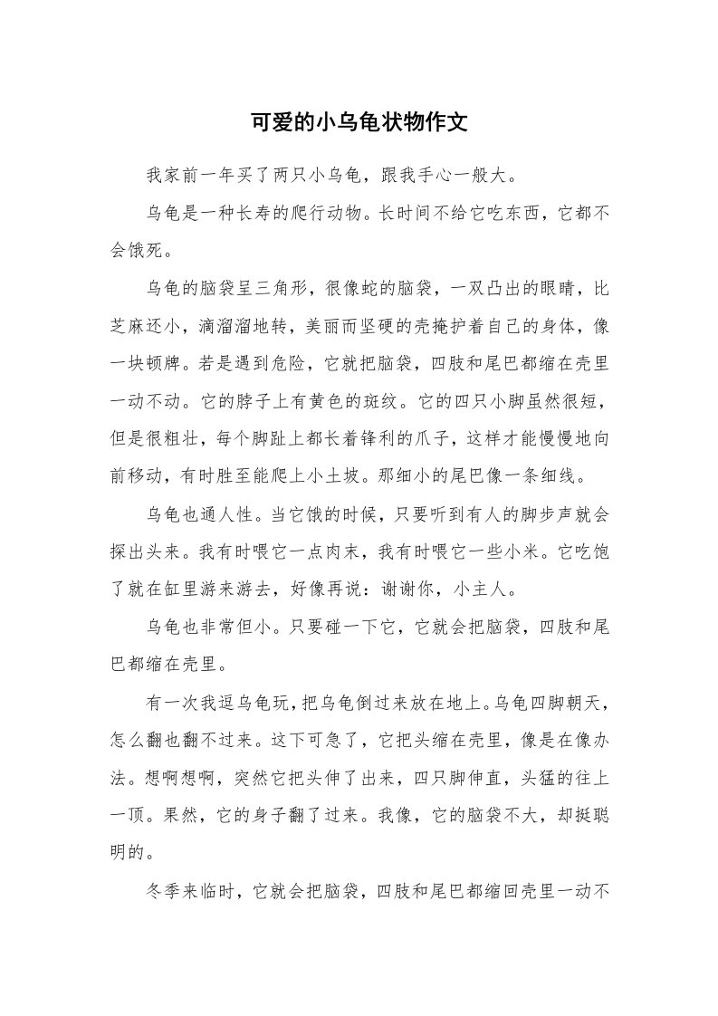 可爱的小乌龟状物作文