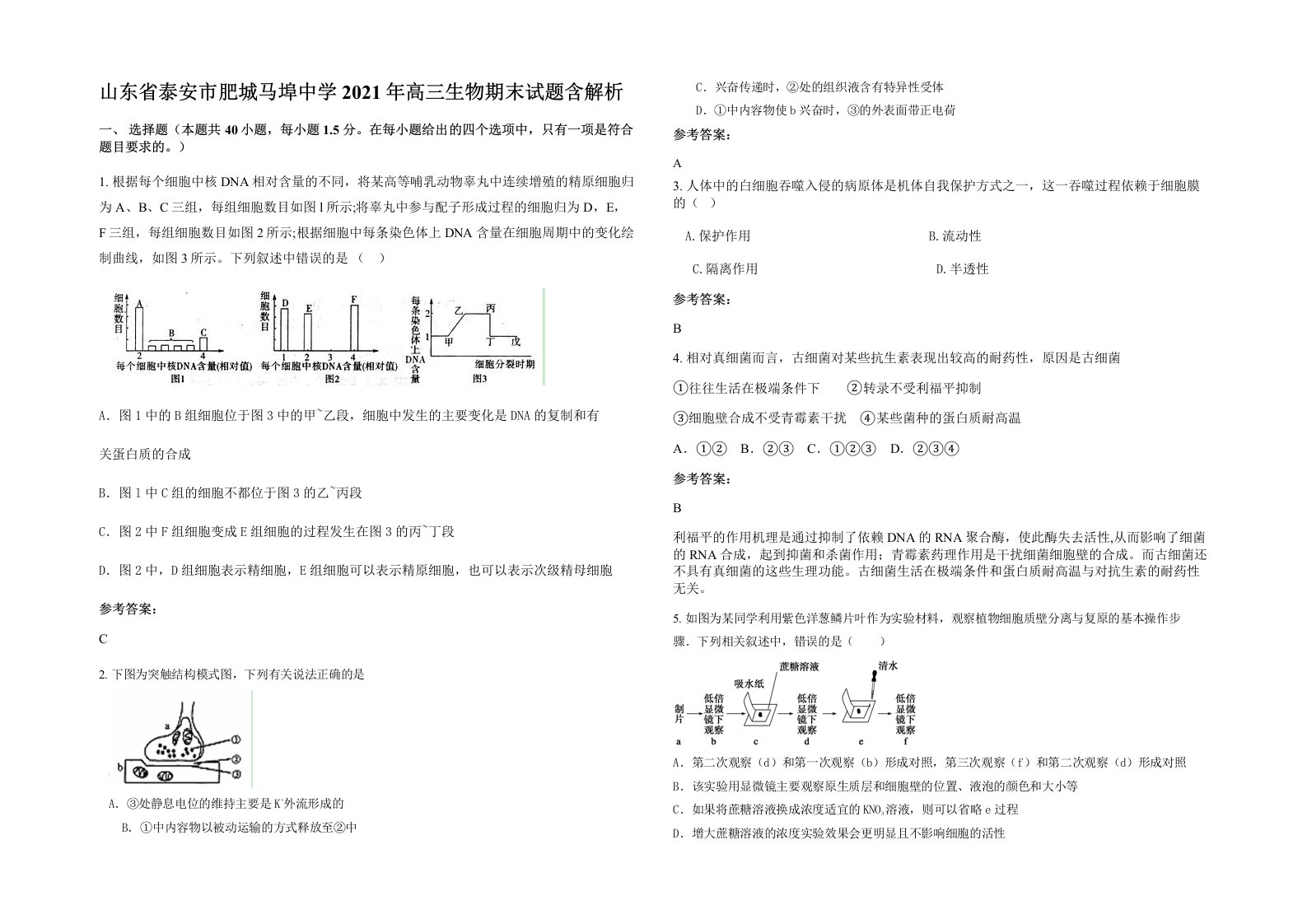 山东省泰安市肥城马埠中学2021年高三生物期末试题含解析