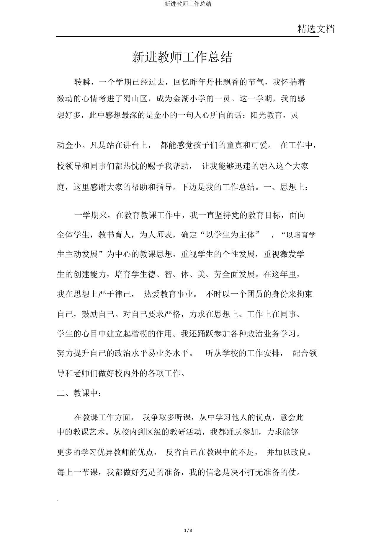 新进教师工作总结