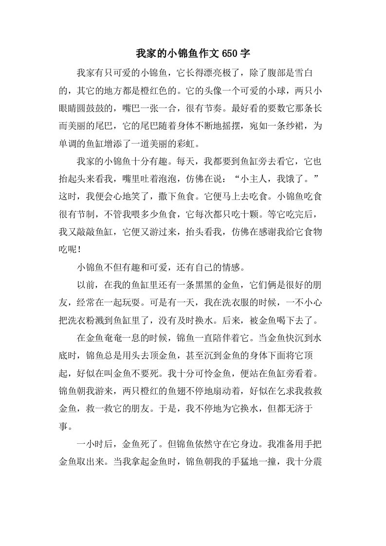 我家的小锦鱼作文650字