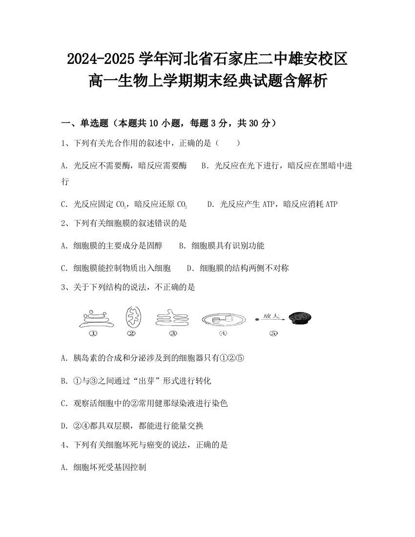 2024-2025学年河北省石家庄二中雄安校区高一生物上学期期末经典试题含解析