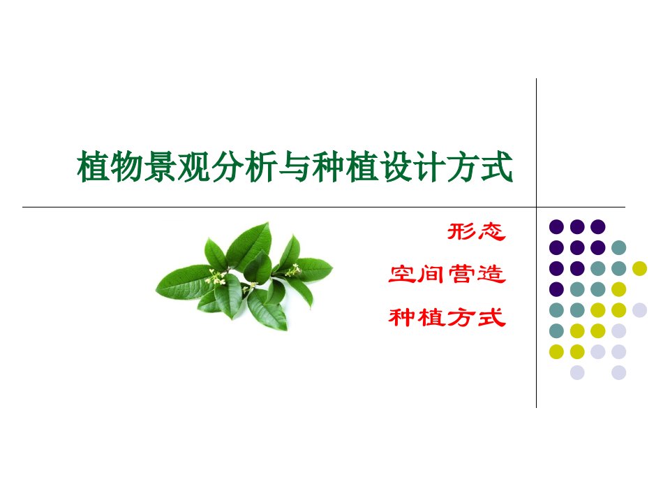 植物景观分析与种植设计原则