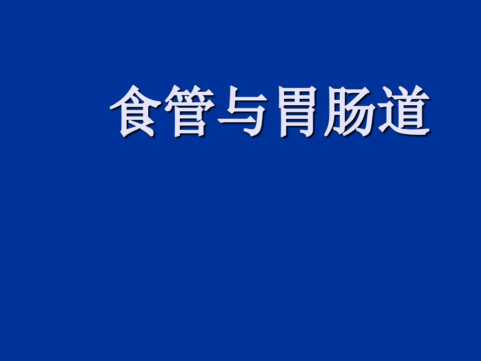 消化道影像表现