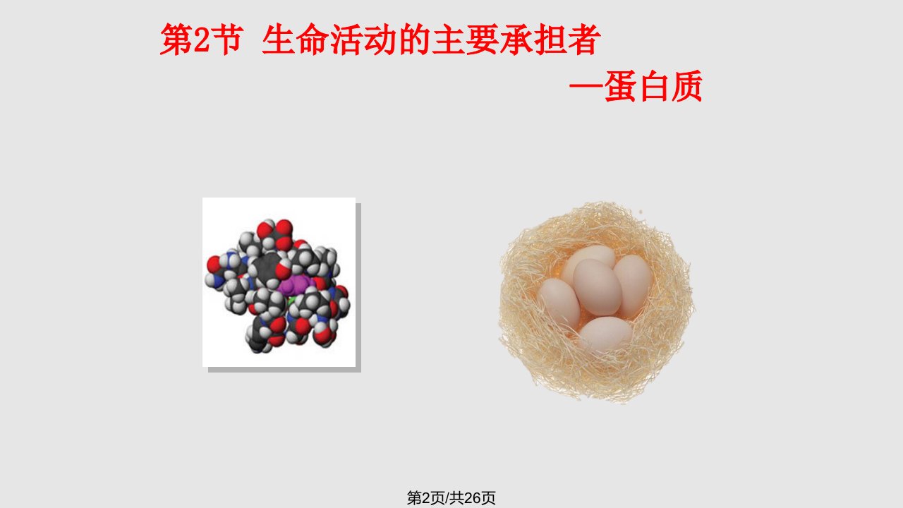 科学技术与社会酶