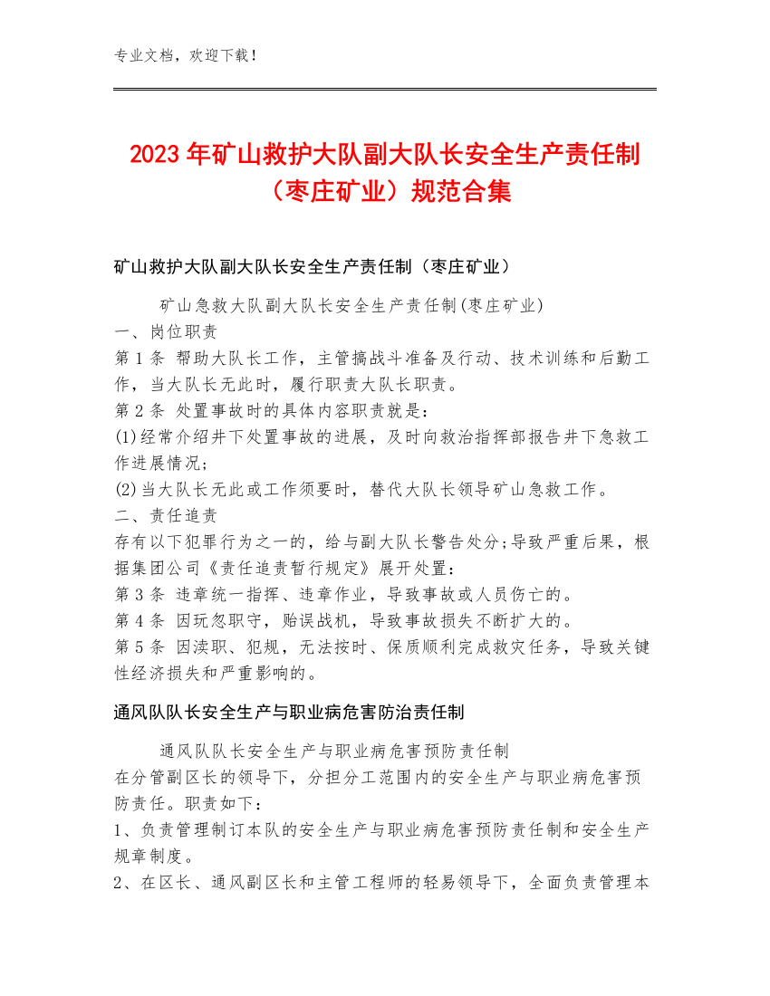 2023年矿山救护大队副大队长安全生产责任制（枣庄矿业）规范合集