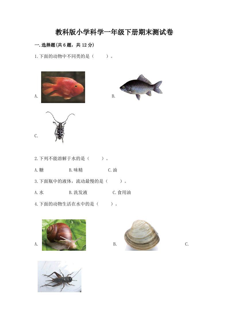 教科版小学科学一年级下册期末测试卷带答案（典型题）