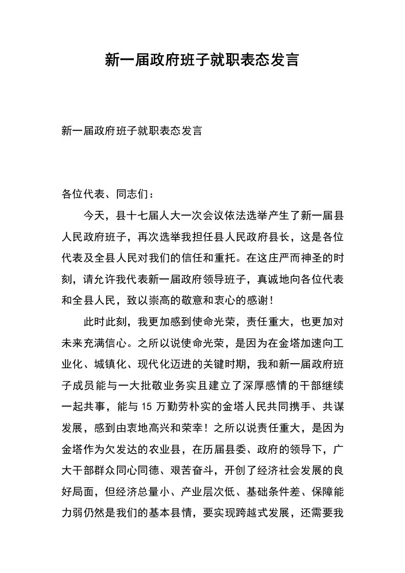 新一届政府班子就职表态发言