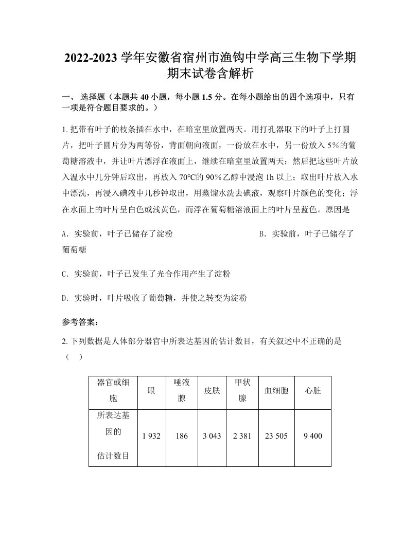 2022-2023学年安徽省宿州市渔钩中学高三生物下学期期末试卷含解析