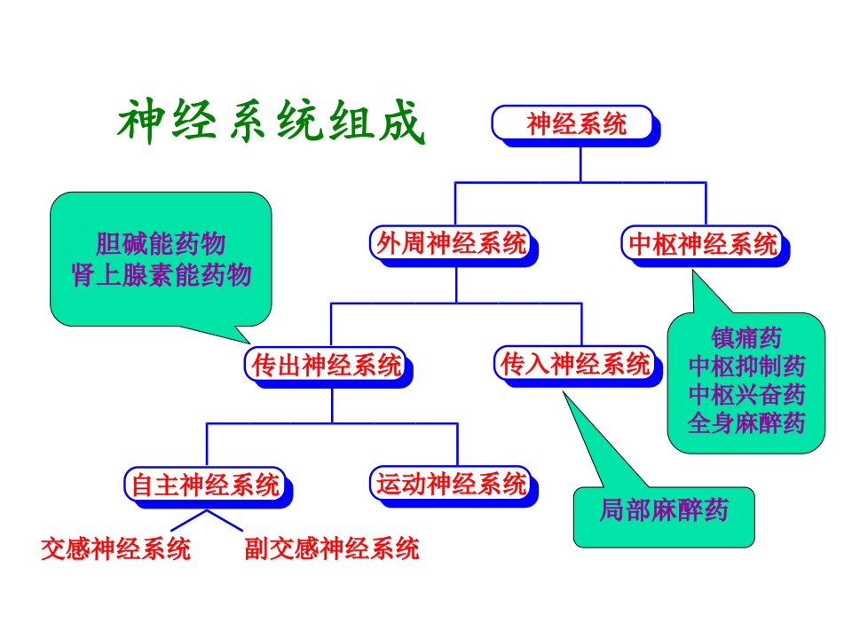 胆碱能药物