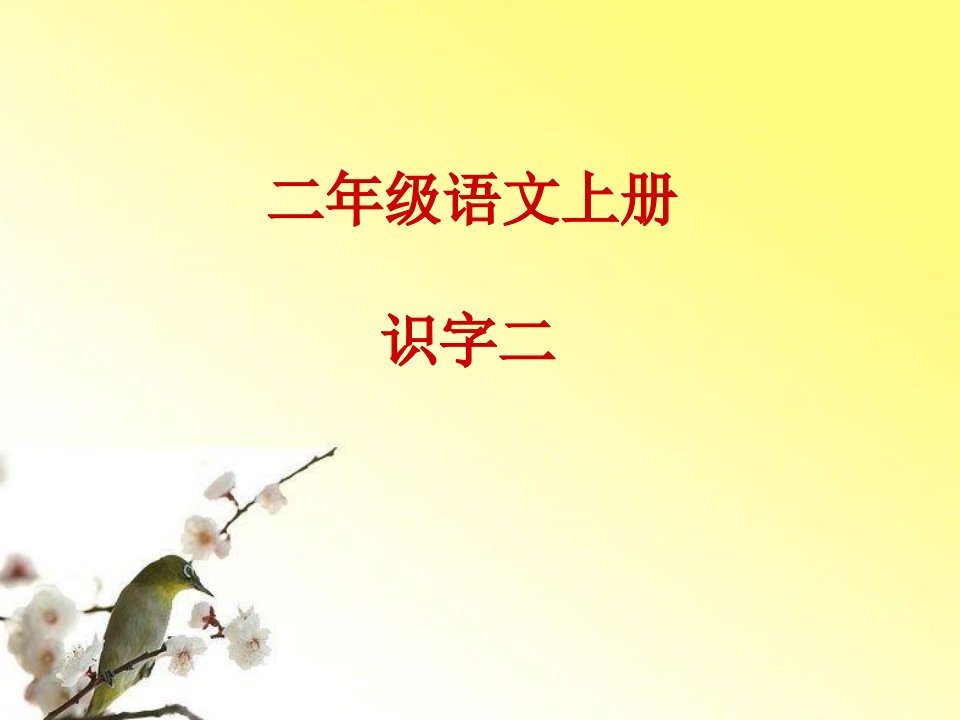 人教版小学语文二年级上册《识字二》课件