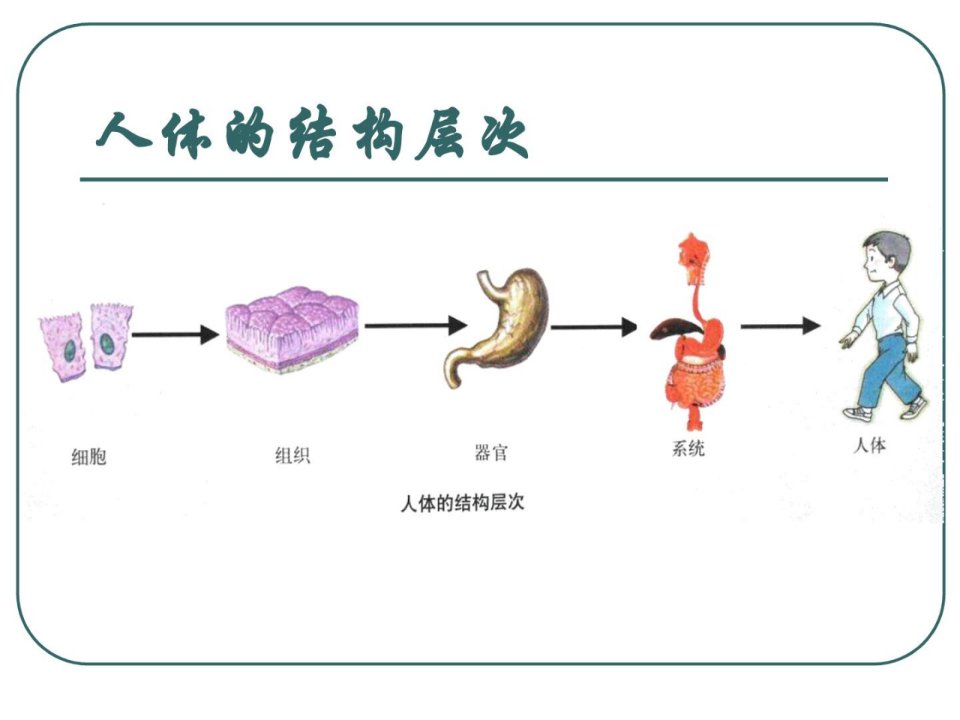 资料]第五节